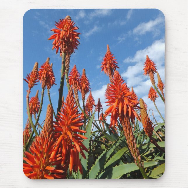 Aloe Arborescens mousepad (Vorne)