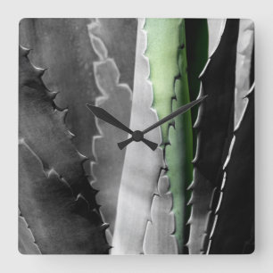 Aloe - Makro Fine Art Fotograf in Schwarzweiß Quadratische Wanduhr