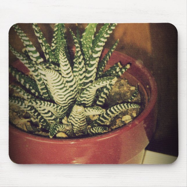 Aloe Mousepad (Vorne)
