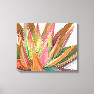 Aloe nobilis Watercolor durch Debra-Lee Baldwin Leinwanddruck