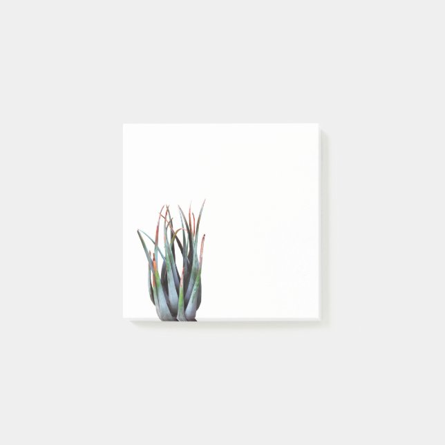 ALoe Pflanze Foto Foto Post-it Klebezettel (Vorderseite)