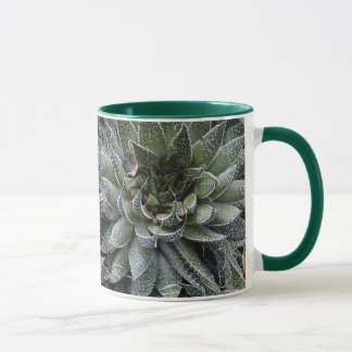 ALOE TASSE
