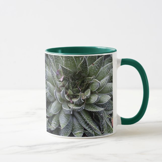 ALOE TASSE (Rechts)