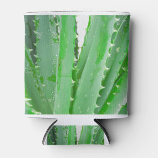 Aloe Vera Dosenkühler