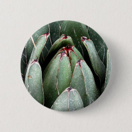 Aloe Vera Foto Pflanze Lover Round Abzeichen Button