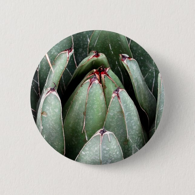 Aloe Vera Foto Pflanze Lover Round Abzeichen Button (Vorderseite)