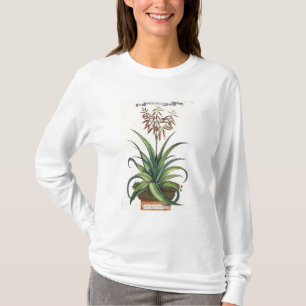 Aloe Vera gemein, von "Phytographia Curiosa", p T-Shirt