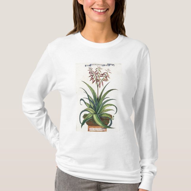 Aloe Vera gemein, von "Phytographia Curiosa", p T-Shirt (Vorderseite)