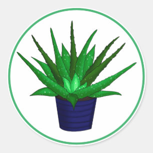 Aloe Vera Hand Drawn Housepflanze Kunst Runder Aufkleber