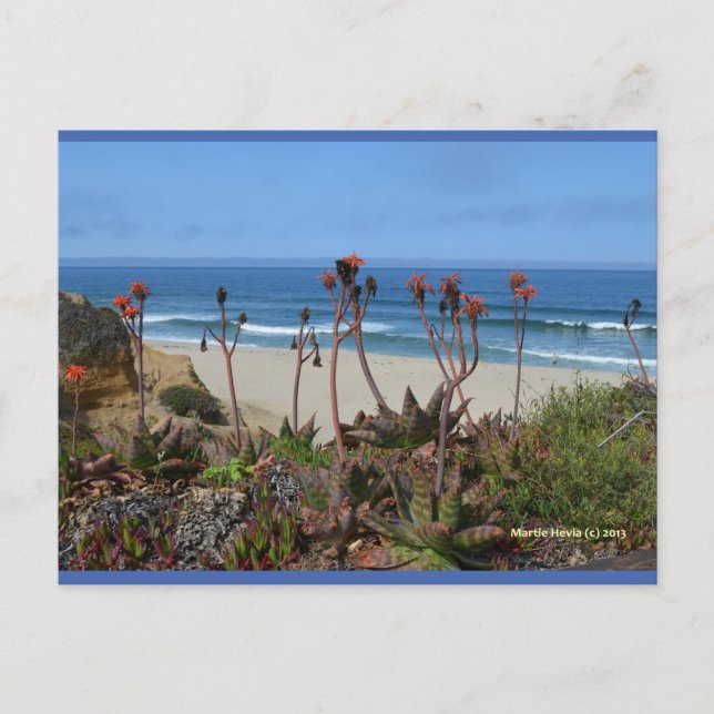 Aloe Vera in HMB | Blue Beach Song™ Postkarte (Vorderseite)