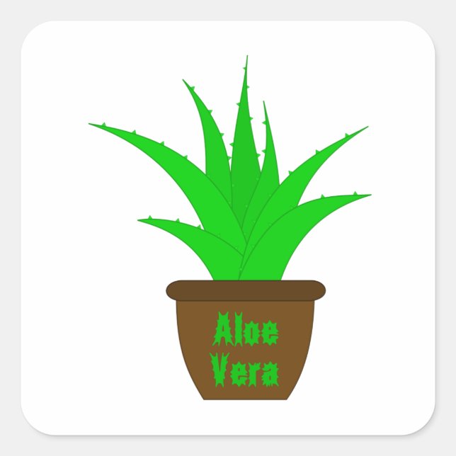 Aloe Vera mit einem Label Quadratischer Aufkleber (Vorderseite)