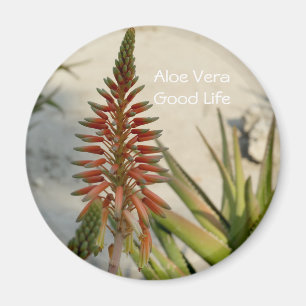 Aloe Vera Pflanze Blume Button Magnet