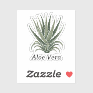 Aloe Vera Pflanze Herbal Apothecary Aufkleber