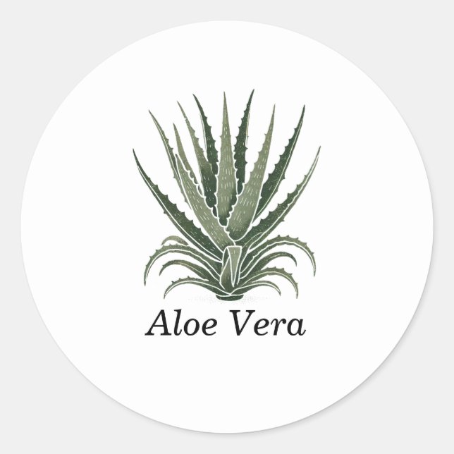 Aloe Vera Pflanze Herbal Apothecary Runder Aufkleber (Vorderseite)