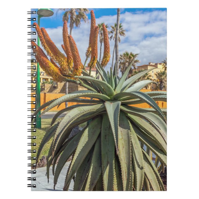 Aloe Vera Pflanze und Blume Notebook Notizblock (Vorderseite)
