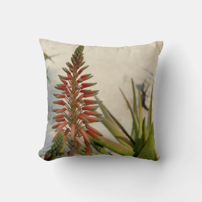 Aloe-Vera-Pflanzen-Fotothrow-Kissen 41 cm x 41 cm Kissen (Vorderseite)