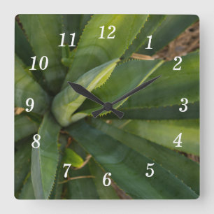 Aloe Vera Wall Uhr