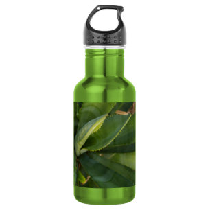 Aloe Vera Wasserflasche