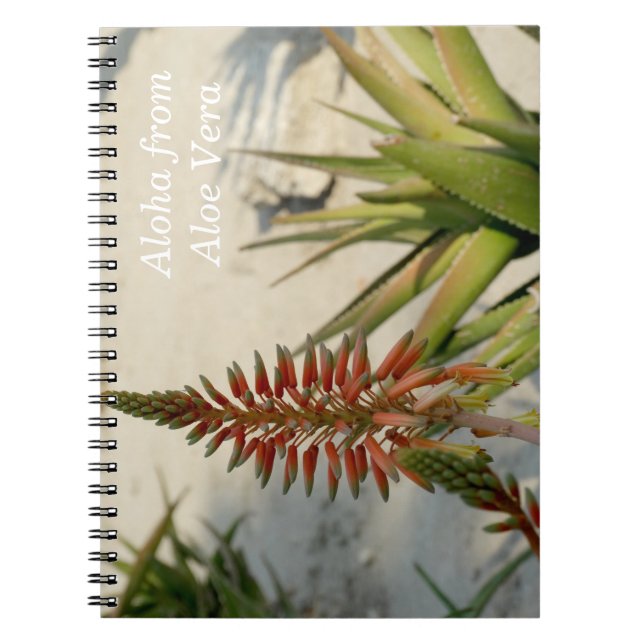Aloha Aloe Vera Pflanze Foto Notebook Notizblock (Vorderseite)