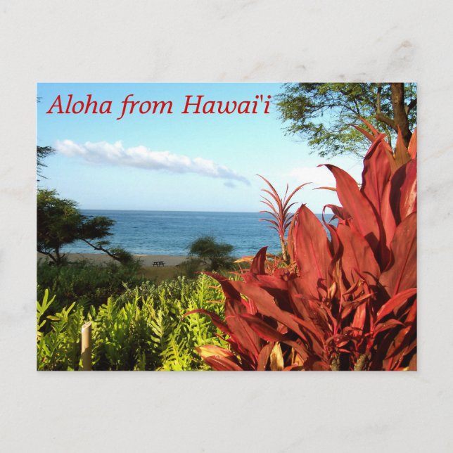 Aloha aus Hawaii Postkarte (Vorderseite)