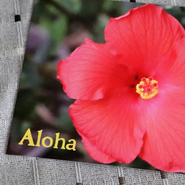 Aloha aus Hawaii Urlaub Postkarte (Von Creator hochgeladen)