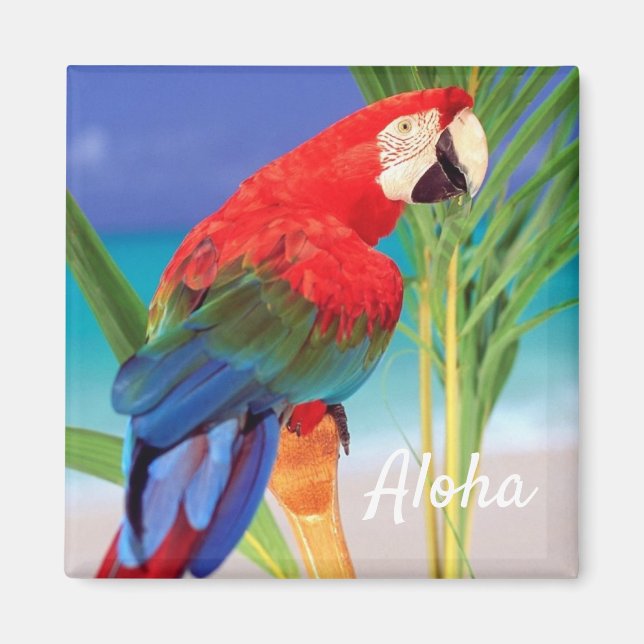 Aloha Bird Magnet (Vorne)