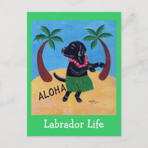 Aloha Black Labrador Postkarte