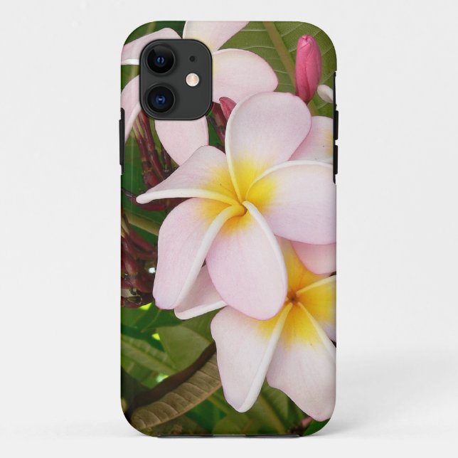 Aloha blüht hawaiischer Frangipani Plumerias Case-Mate iPhone Hülle (Rückseite)