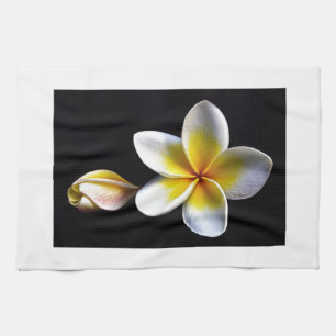 Aloha blüht hawaiischer Frangipani Plumerias Küchentuch