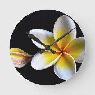 Aloha blüht hawaiischer Frangipani Plumerias Runde Wanduhr
