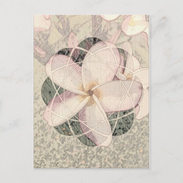 Aloha-Blüte Postkarte (Vorderseite)