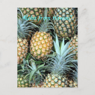 "Aloha from Hawaii" Postkarte
