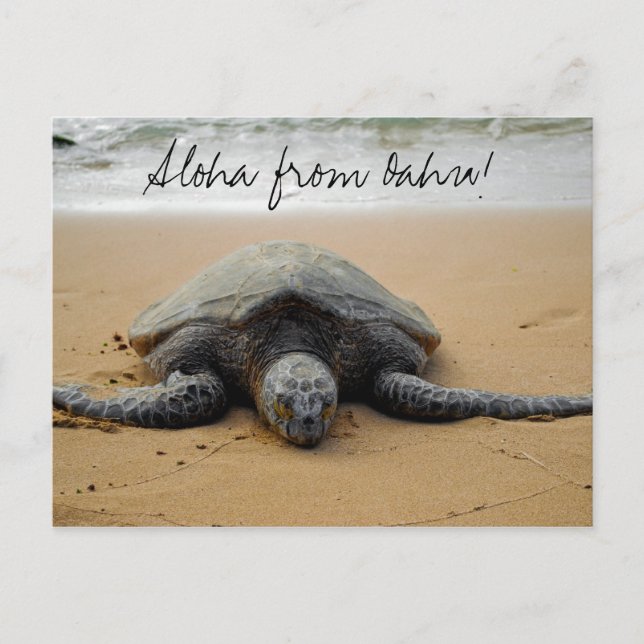 Aloha from Oahu! Postcard with Sea Turtle Postkarte (Vorderseite)