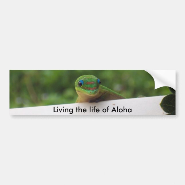 Aloha Gecko Aufkleber Autoaufkleber (Vorne)