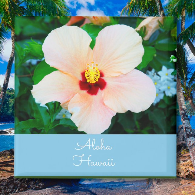 Aloha Hawaii Peach Color Staat Blume Hibiskus Magnet (Von Creator hochgeladen)