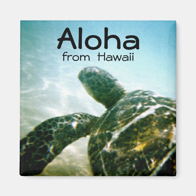 Aloha Hawaii Sea Turtle Magnet (Vorne)