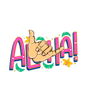 Aloha Hawaii T - Shirt