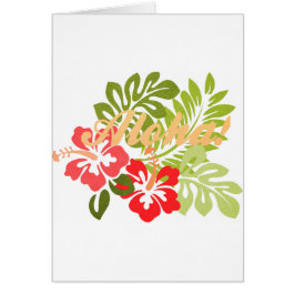 Aloha Hibiskus