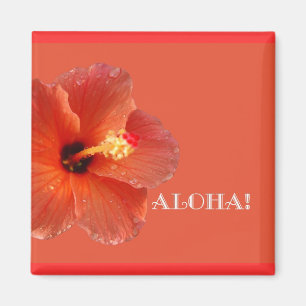 Aloha! Hibiskus-Magnet Magnet