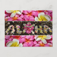 Aloha Honu Turtle Hawaii Plumeria Blume Paradise