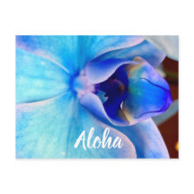 Aloha in Blau