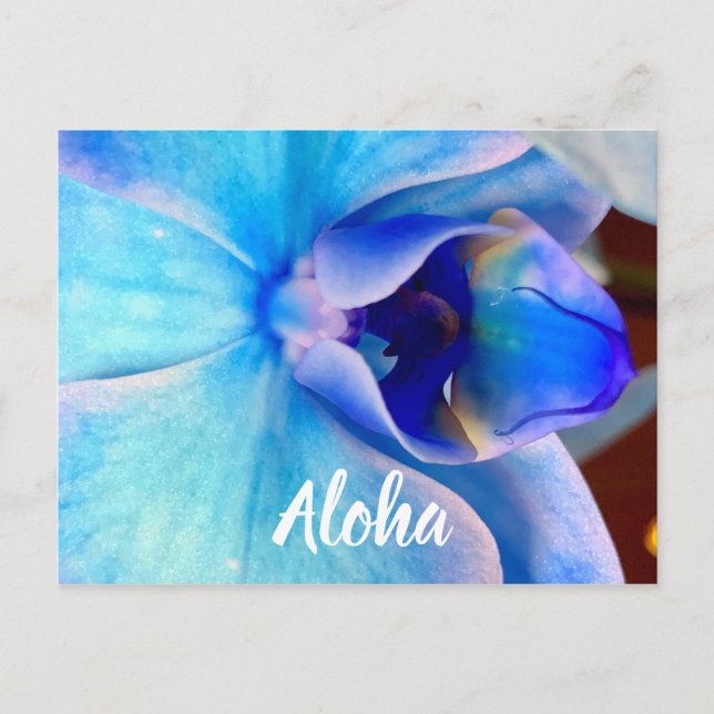Aloha in Blau Postkarte (Vorderseite)