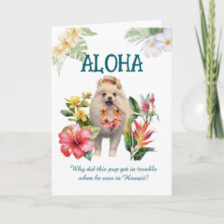 Aloha Joke Card with Pup Karte