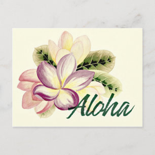 Aloha Plumeria Postkarte