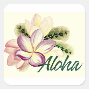 Aloha Plumeria Quadratischer Aufkleber