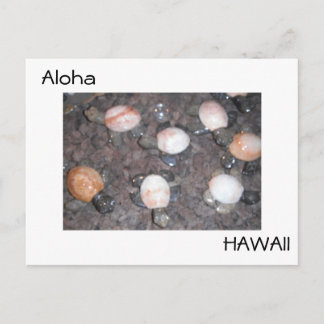 Aloha Postkarte