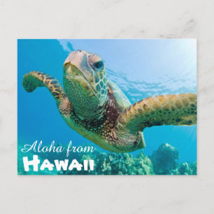 Aloha von Hawaii Honu Green Sea Turtle Postkarte