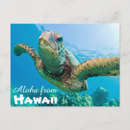 Aloha von Hawaii Honu Green Sea Turtle Postkarte