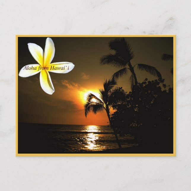 Aloha von Hawaii Plumeria Sunset Postkarte (Vorderseite)