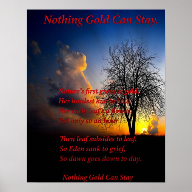 Alone Tree Poster (Vorne)